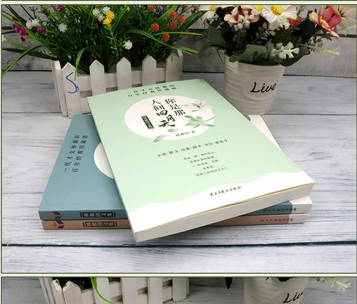 【优惠套装】林徽因作品集全3册 你若安好便是晴天+你是那人间四月天+爱上一座城青春情感散文小说诗歌励志中国现当代经典文学随笔林徽因的书籍 商品图3