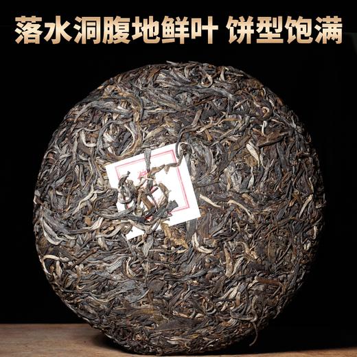 第2份半价！2022春茶易武古茶落水洞生茶饼357g/饼 商品图1