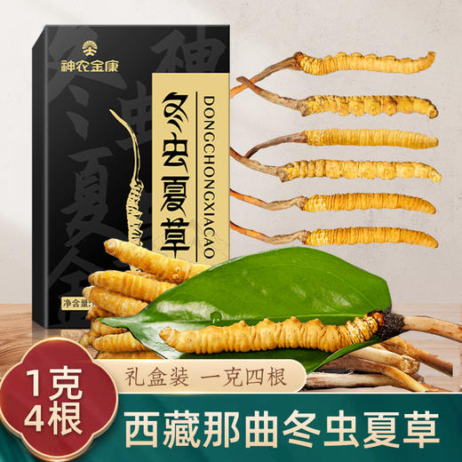 神农金康 正宗西藏那曲头期冬虫夏草1g/盒（4根）原生态真滋补 喝护家人健康 商品图0