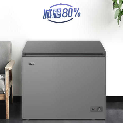 海尔（Haier）冷柜FCD-221LHKPT双温柜 商品图0