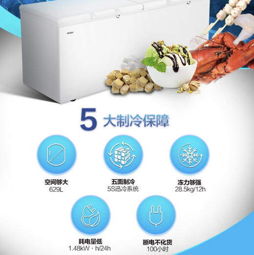 海尔（Haier）冷柜BC/BD-629HEZ变温柜 商品图1