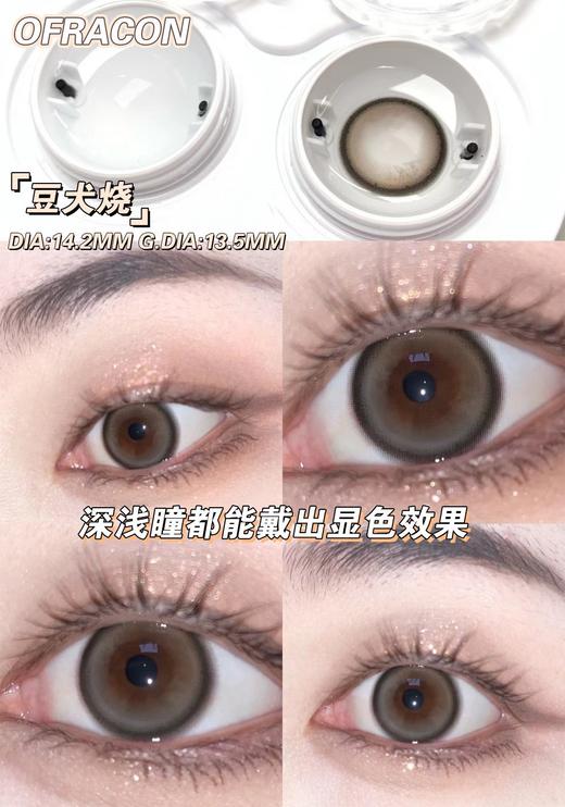 平价年抛丨豆犬烧·Ofracon丨14.2mm（年抛/2片装) 商品图4