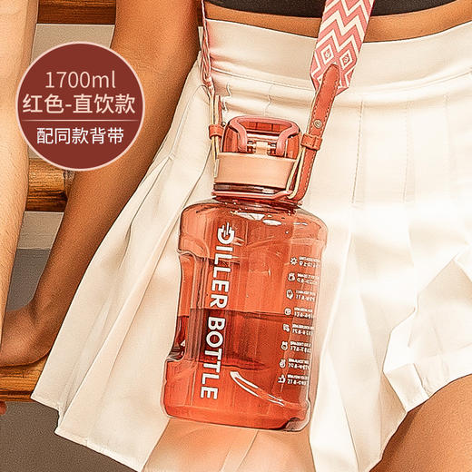 迪乐贝尔炫彩畅动tritan直饮杯DB-013-1700ml大容量水杯男女健身水壶吨桶吨顿顿桶太空杯网红大肚杯便携 商品图2