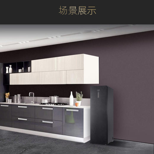 卡萨帝（Casarte）冷柜BD-331WEGAU1冷冻柜 商品图6