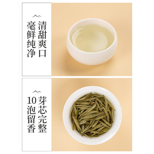 【年货礼盒】茶叶 白茶 白毫银针 2022年正宗福鼎白茶 年货礼盒 藏首作 茶饮  五虎 500g 商品图6