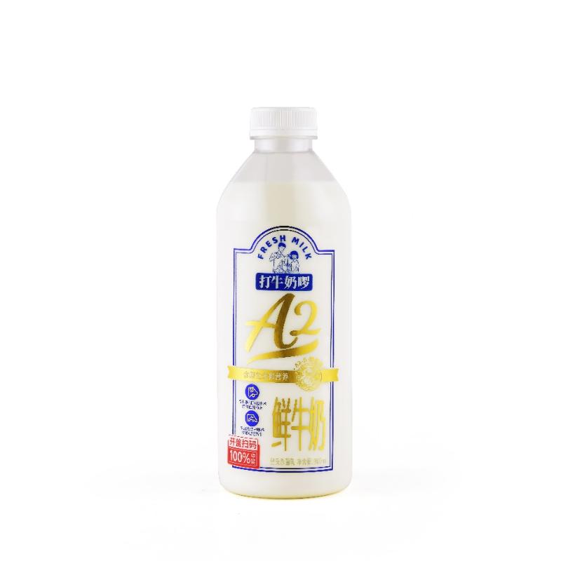 菊乐打牛奶啰A2鲜牛奶900ml/瓶