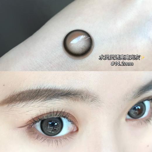 平价年抛丨椰子蛋·Ofracon丨14.2mm（年抛/2片装) 商品图5