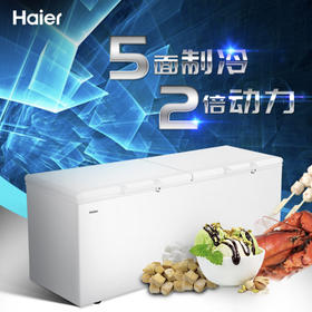 海尔（Haier）冷柜BC/BD-719HEZ变温柜