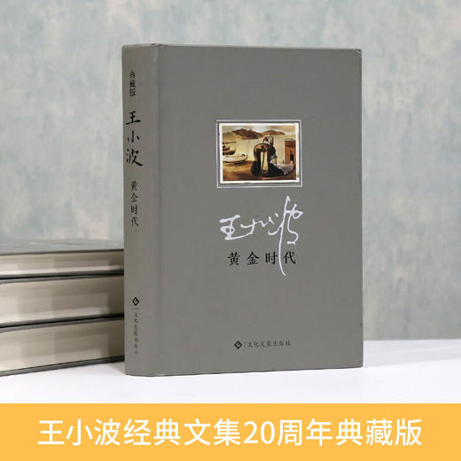 【心如健】王小波一黄金时代 集杂文精选集随笔散文书集现代当代文学 商品图3