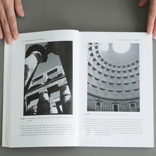 英国原版 | 20世纪北欧建筑中的有机设计 Organic Design in Twentieth-Century Nordic Architecture 商品图1