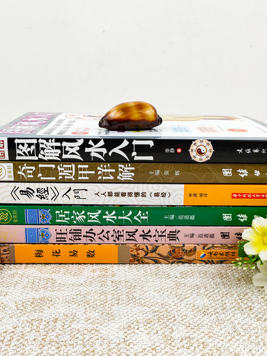 【心如健】风水书籍大全6册 图解风水入门书籍+奇门遁甲详解+易经入门+梅花易数+居家旺铺办公室风水周易易经全书风水学入门经典哲学书籍 商品图2