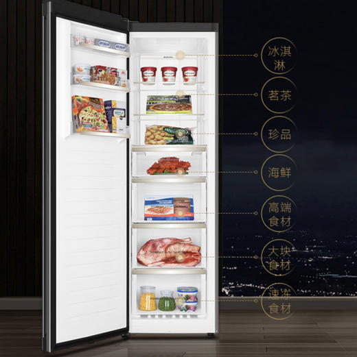 卡萨帝（Casarte）冷柜BD-331WEGAU1冷冻柜 商品图3