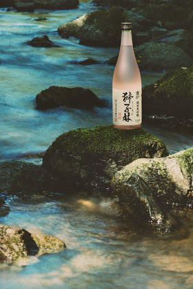 美丽市场-京禧娜狮子林纯米大吟酿720ml