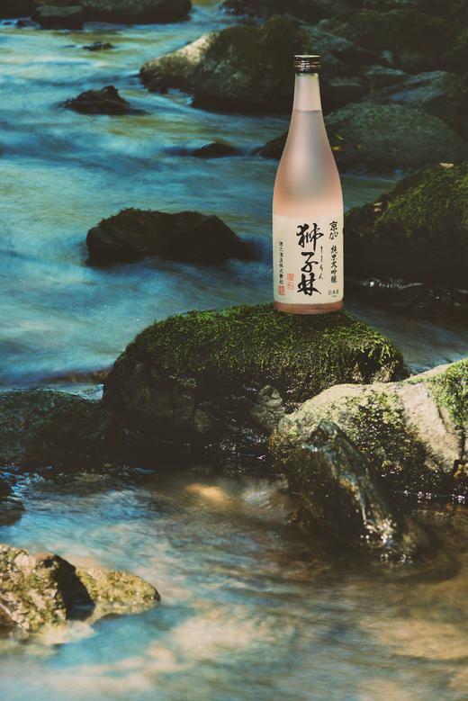 美丽市场-京禧娜狮子林纯米大吟酿720ml 商品图0