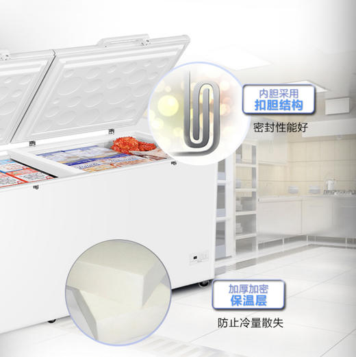 海尔（Haier）冷柜BC/BD-719HEZ变温柜 商品图5