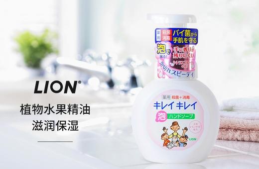 日本狮王lion全植物泡沫洗手液清淡型250ML 全植物泡沫洗手液果香型250ML 商品图0