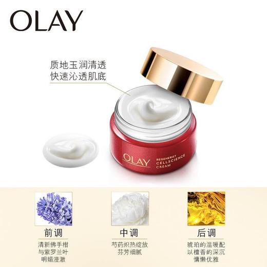 OLAY玉兰油新生塑颜臻粹面霜50g(红丝缎面霜） 商品图2