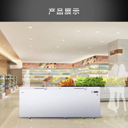 海尔（Haier）冷柜BC/BD-1028T变温柜 商品图8