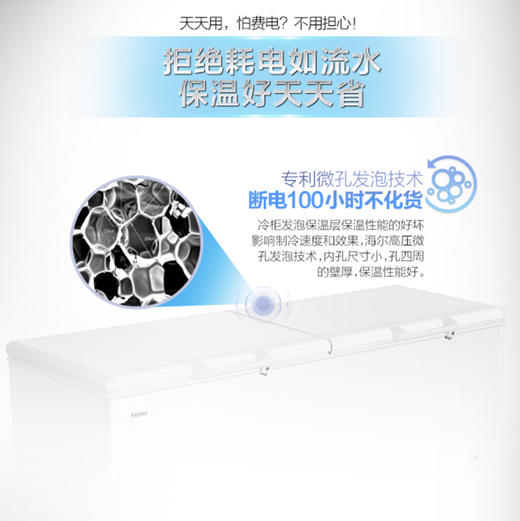 海尔（Haier）冷柜BC/BD-629HEZ变温柜 商品图4