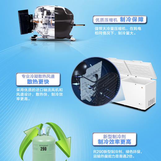 海尔（Haier）冷柜BC/BD-629HEZ变温柜 商品图3