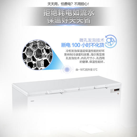 海尔（Haier）冷柜BC/BD-1028T变温柜 商品图4