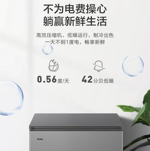 海尔（Haier）冷柜FCD-221LHKPT双温柜 商品图10