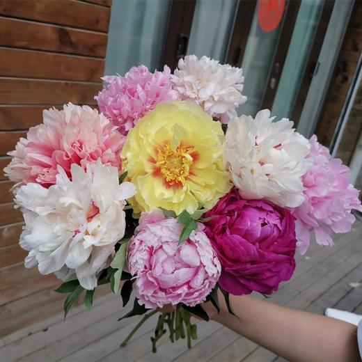花艺师定制芍药混搭特惠套餐【顺丰包邮】 商品图3