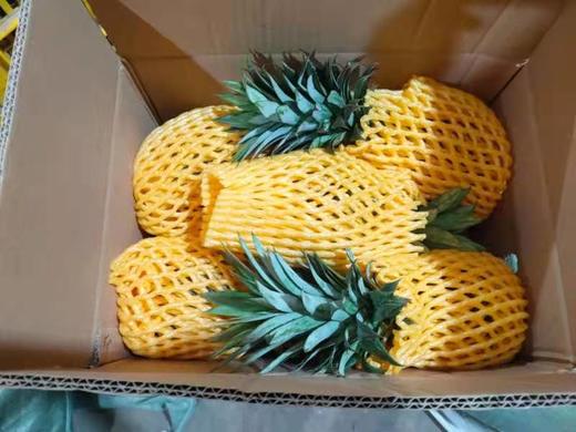 洛川红富士（套袋）12枚普通装+海南金钻凤梨4.0kg普通装(5-6个)【鲜享1.0】 商品图4