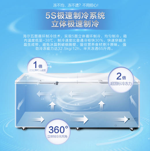 海尔（Haier）冷柜BC/BD-719HEZ变温柜 商品图2