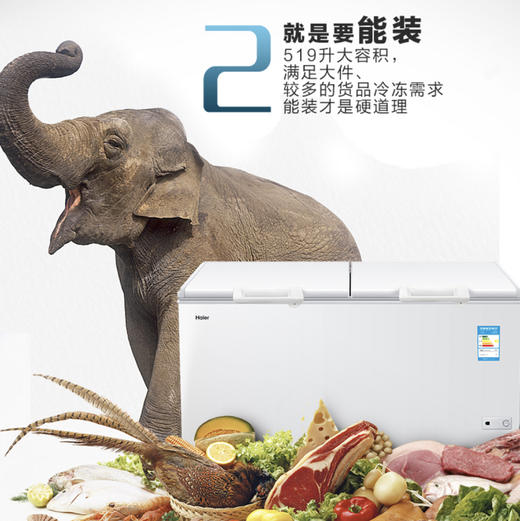 海尔（Haier）冷柜BC/BD-519HCM变温柜 商品图4