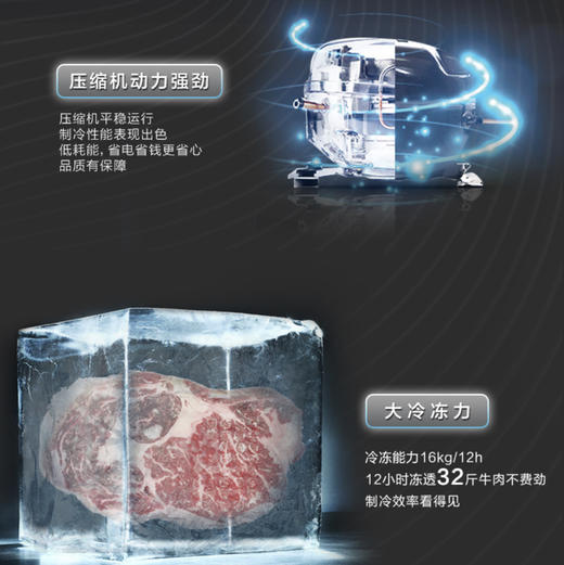 海尔（Haier）冷柜BC/BD-429HCM变温柜 商品图3