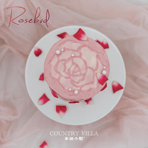 花蕾 Rosebud 商品图3