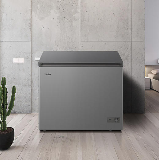 海尔（Haier）冷柜FCD-221LHKPT双温柜 商品图2