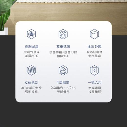 海尔（Haier）BC/BD-146HMC冷藏冷冻转换柜 商品图2