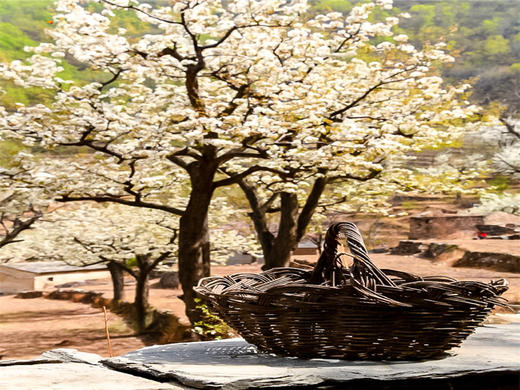 【梨花梯田1日】｜世外桃源茅舍疏篱の谷雨时节赏大山深处梨花村 商品图5
