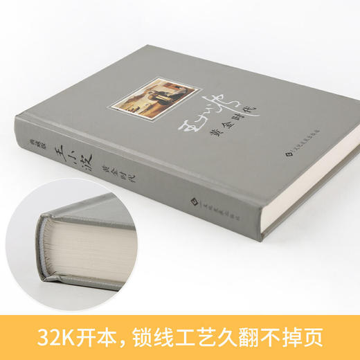 【心如健】王小波一黄金时代 集杂文精选集随笔散文书集现代当代文学 商品图2