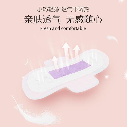 阿莎娜超薄护迷你巾20片 商品图4
