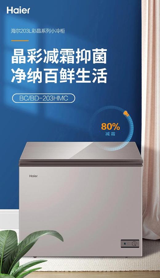 海尔（Haier）BC/BD-203HMC卧式冷藏冷冻转换柜 商品图0