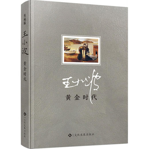 【心如健】王小波一黄金时代 集杂文精选集随笔散文书集现代当代文学 商品图0