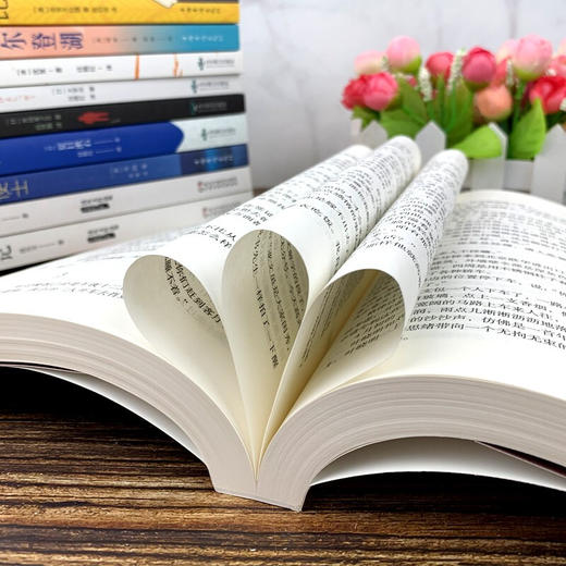 【优惠套装】全12本遥远的救世主+天幕红尘+天局+人间失格+罗生门+月亮和六便士+我是猫未删减版原著豆豆小说天道爱情小说现当代文学小说 商品图4