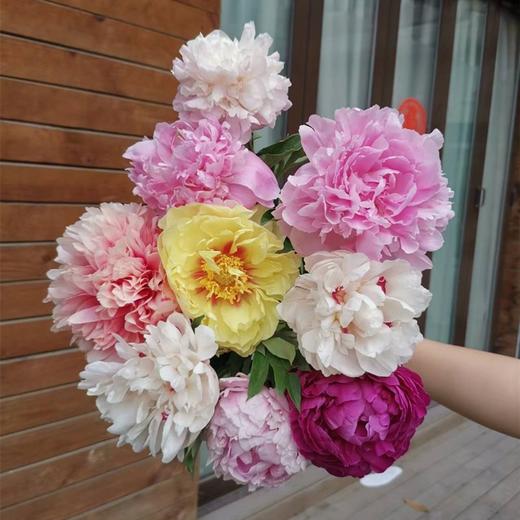 花艺师定制芍药混搭特惠套餐【顺丰包邮】 商品图2