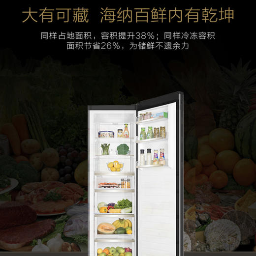 卡萨帝（Casarte）冷柜BD-331WEGAU1冷冻柜 商品图4