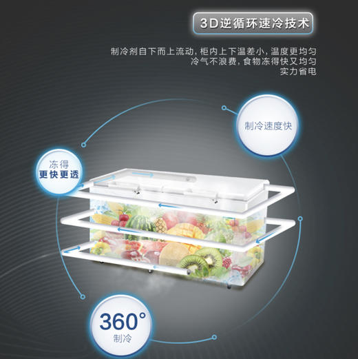 海尔（Haier）冷柜BC/BD-519HCM变温柜 商品图2