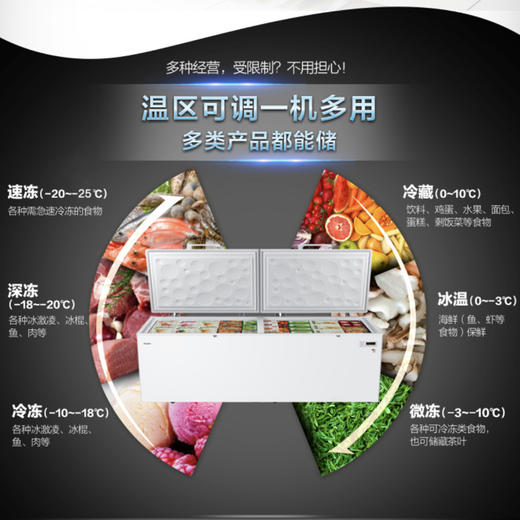 海尔（Haier）冷柜BC/BD-1028T变温柜 商品图6