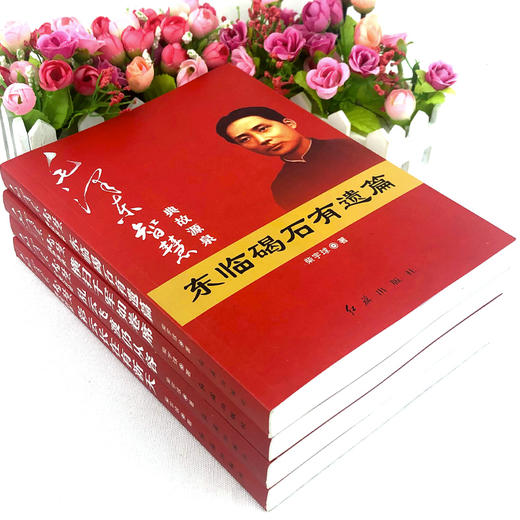 【心如健】现货 毛泽东智慧全套4册 战争事典横扫千军如卷席+典故源泉东临碣石有遗篇+理论创新彩云长在有新天+分类应用乱云飞渡仍从容人物书 商品图2