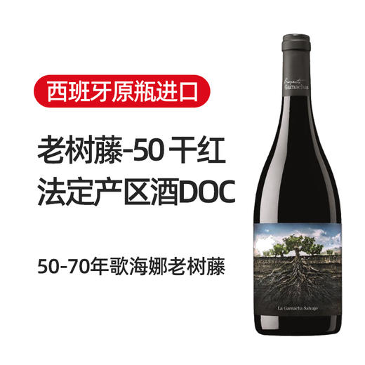西班牙2019 老树藤50干红 商品图1