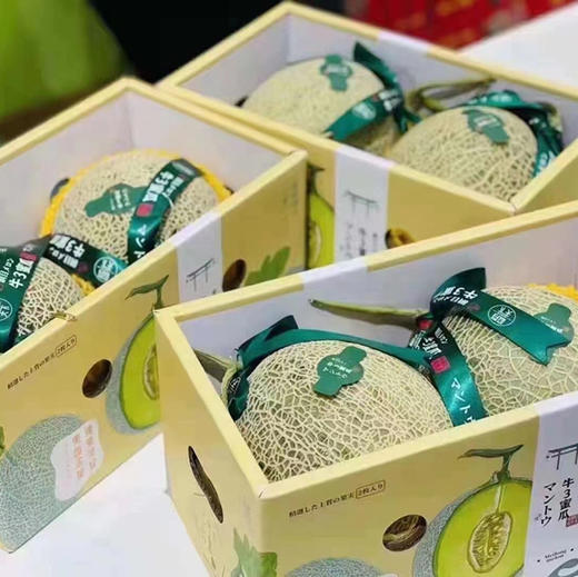 蜜纹牛3蜜瓜 商品图4