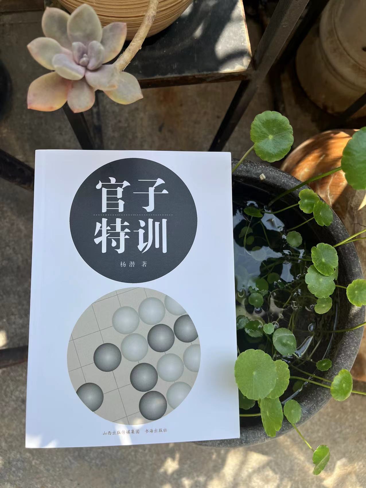 5折：官子特训 杨潜