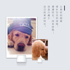 CM1016 双面48片 3d-jp客制拼图(客照)