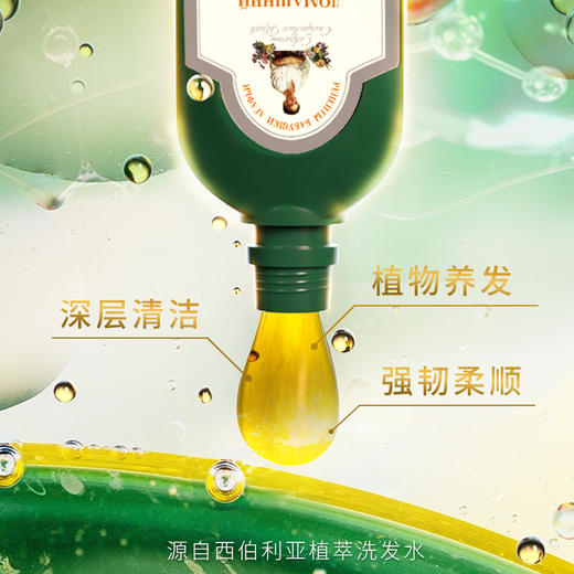 俄罗斯进口  婀卡菲娅老奶奶经典洗发水 商品图2